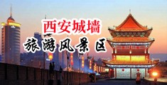 台湾小夜夜中国陕西-西安城墙旅游风景区